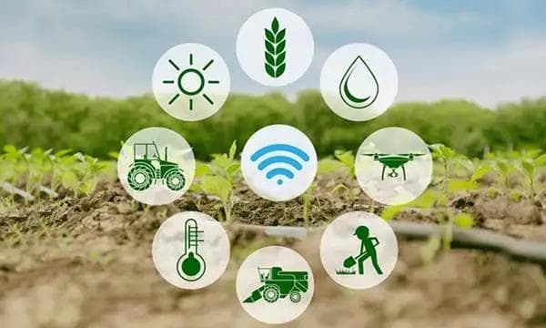 Mudrika AI is Revolutionizing Data Processing in Agriculture and IoT